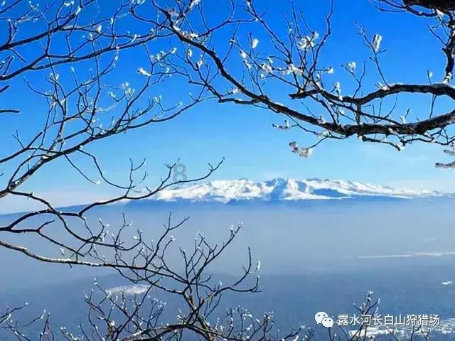 狂怒之路